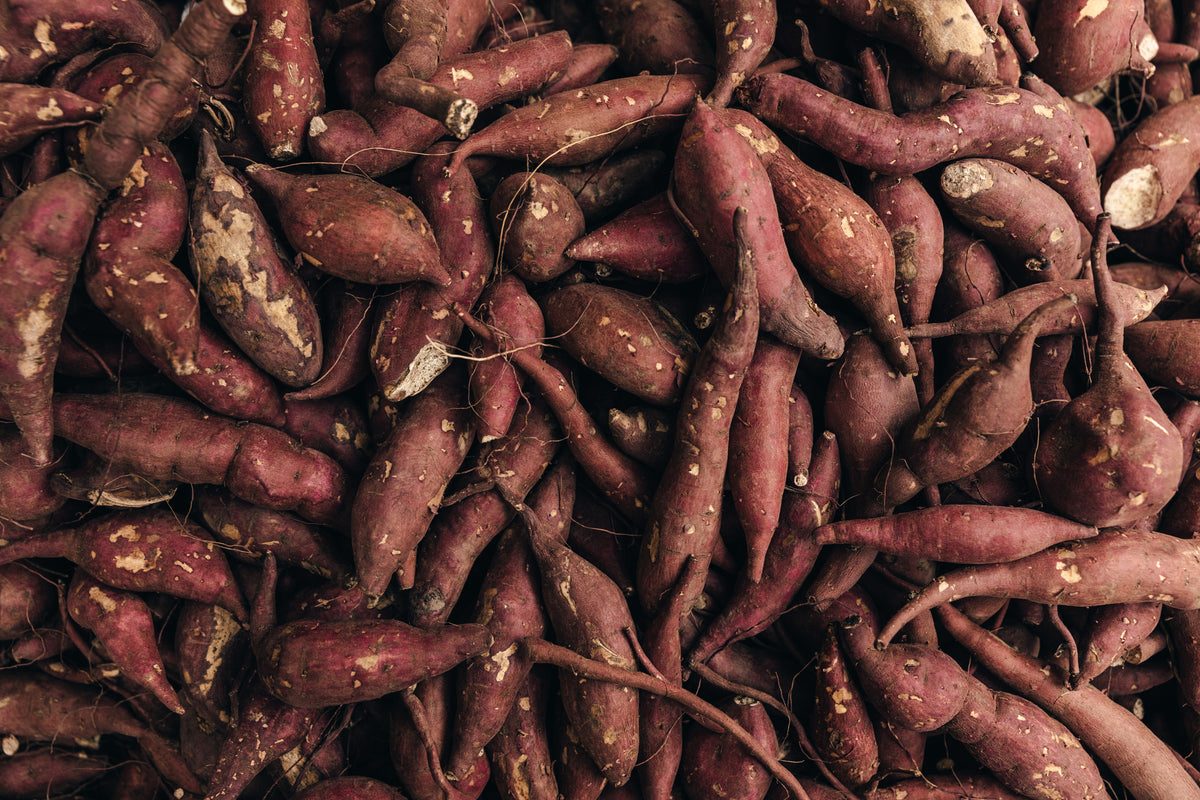 The root
